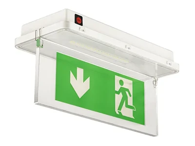 Señal de salida de emergencia LED IP65 a prueba de agua (21 LED SMD3528), LE515-21