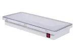 Señal de salida de emergencia LED IP65 a prueba de agua (21 LED SMD3528), LE515-21